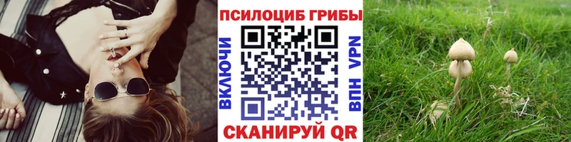 ОМГ ОМГ рабочий сайт  Коряжма  Галлюциногенные грибы Cubensis 